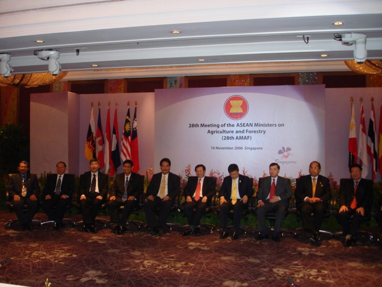 Joint Press Statement of the Sixth ASEAN Ministers of Agriculture and Forestry and the Ministers of Agriculture of the Peoples Republic of China, Japan and the Republic of Korea (AMAF Plus Three), 17 November 2006, Singapore
